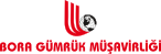 Bora Gümrükleme Sticky Logo